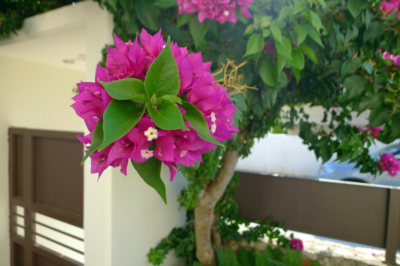 Maria & Manos Guest House, Agios Onoufrios Beach Bagian luar foto